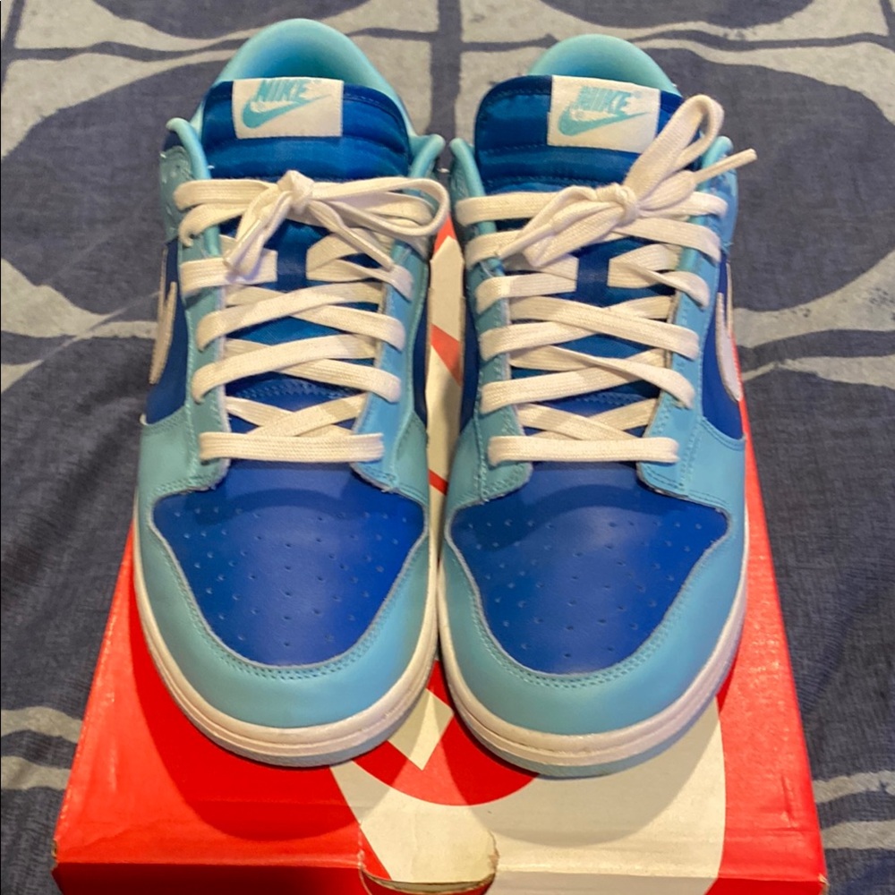 Nike dunk low argon size 10